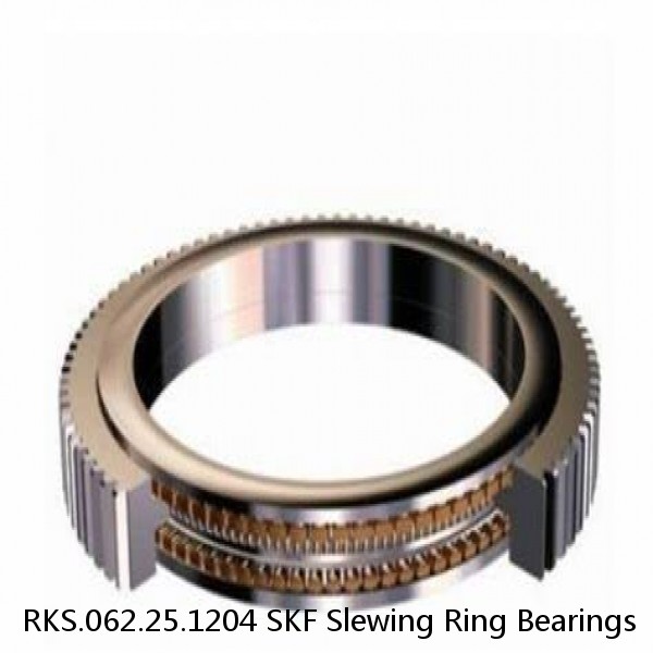 RKS.062.25.1204 SKF Slewing Ring Bearings #1 small image