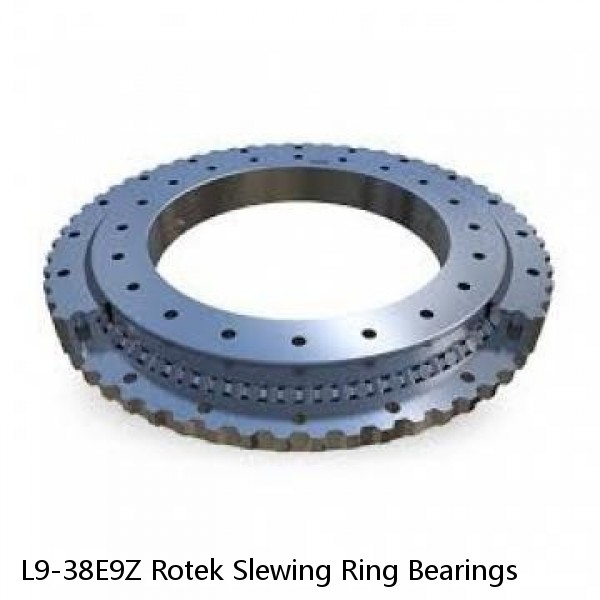 L9-38E9Z Rotek Slewing Ring Bearings #1 small image