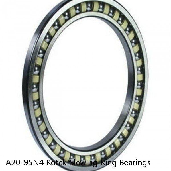 A20-95N4 Rotek Slewing Ring Bearings #1 small image