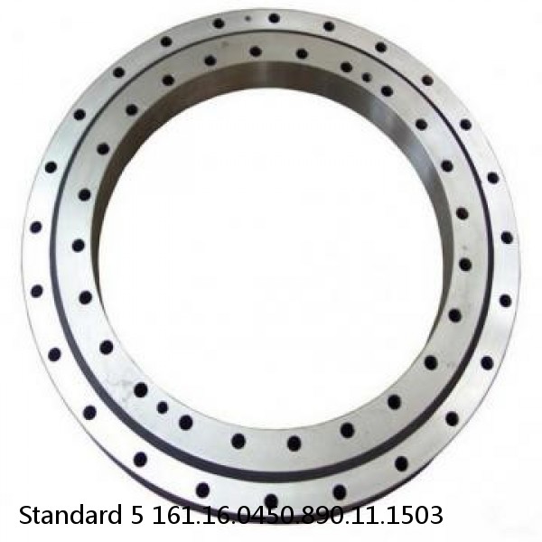 161.16.0450.890.11.1503 Standard 5 Slewing Ring Bearings #1 small image