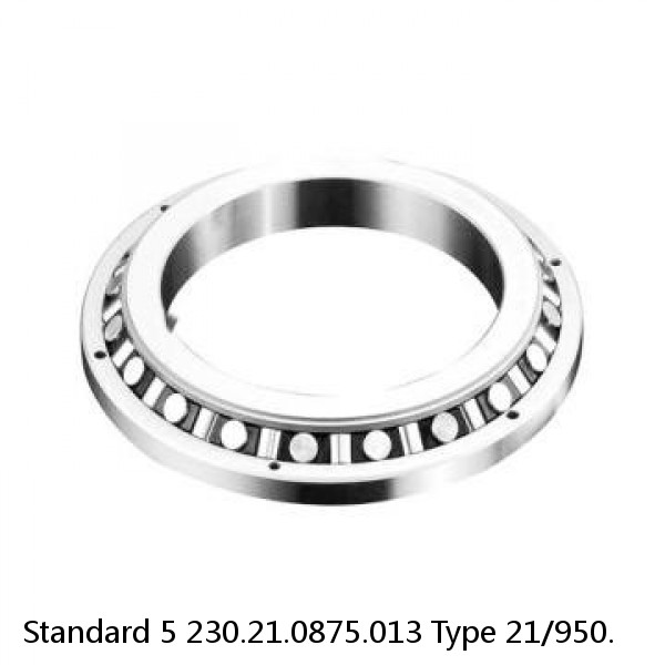 230.21.0875.013 Type 21/950. Standard 5 Slewing Ring Bearings #1 small image