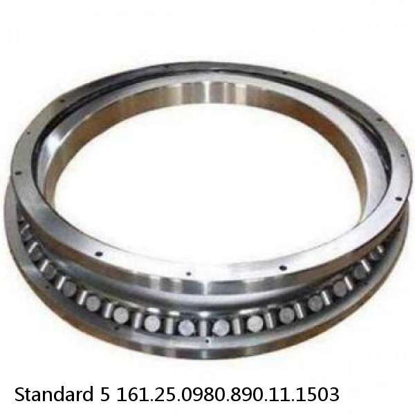 161.25.0980.890.11.1503 Standard 5 Slewing Ring Bearings
