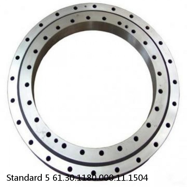 61.30.1180.000.11.1504 Standard 5 Slewing Ring Bearings #1 small image
