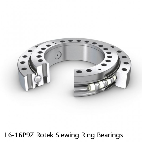 L6-16P9Z Rotek Slewing Ring Bearings #1 image