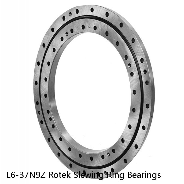 L6-37N9Z Rotek Slewing Ring Bearings #1 image