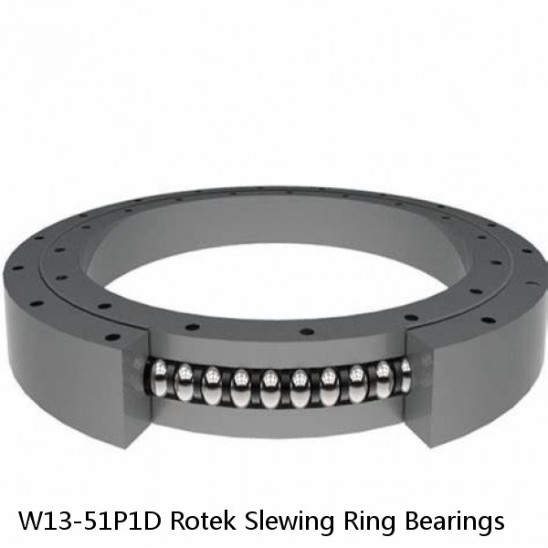 W13-51P1D Rotek Slewing Ring Bearings #1 image