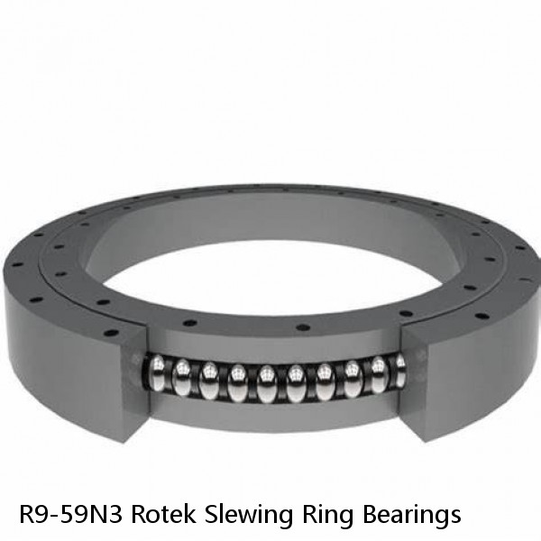 R9-59N3 Rotek Slewing Ring Bearings #1 image