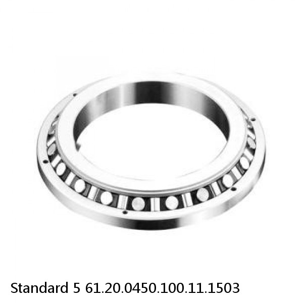 61.20.0450.100.11.1503 Standard 5 Slewing Ring Bearings #1 image