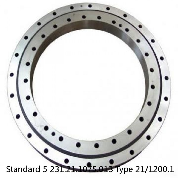 231.21.1075.013 Type 21/1200.1 Standard 5 Slewing Ring Bearings #1 image