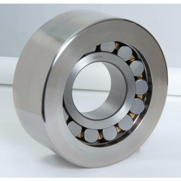 45 mm x 100 mm x 25 mm  FAG N309-E-TVP2  Cylindrical Roller Bearings #1 image