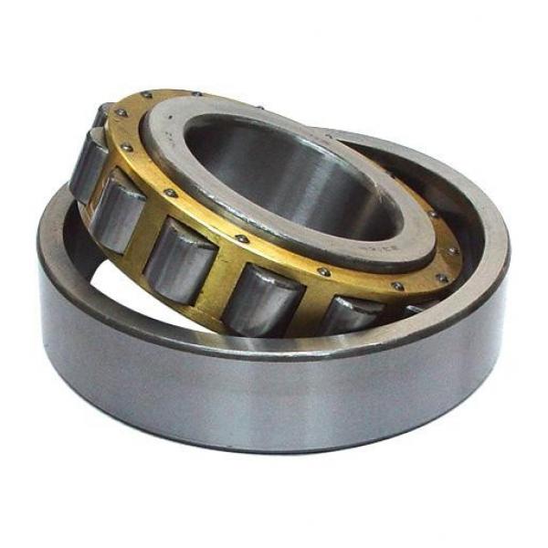 95 mm x 200 mm x 45 mm  FAG N319-E-M1  Cylindrical Roller Bearings #1 image